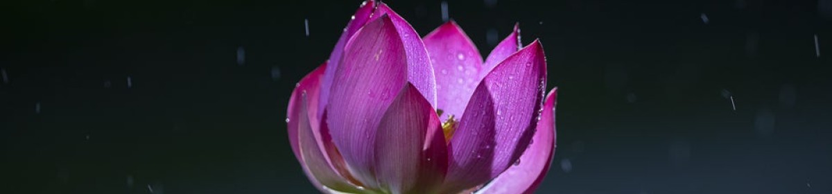 본문에 유투브